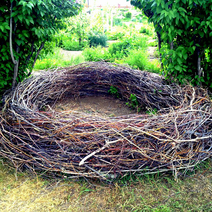Nest Building
