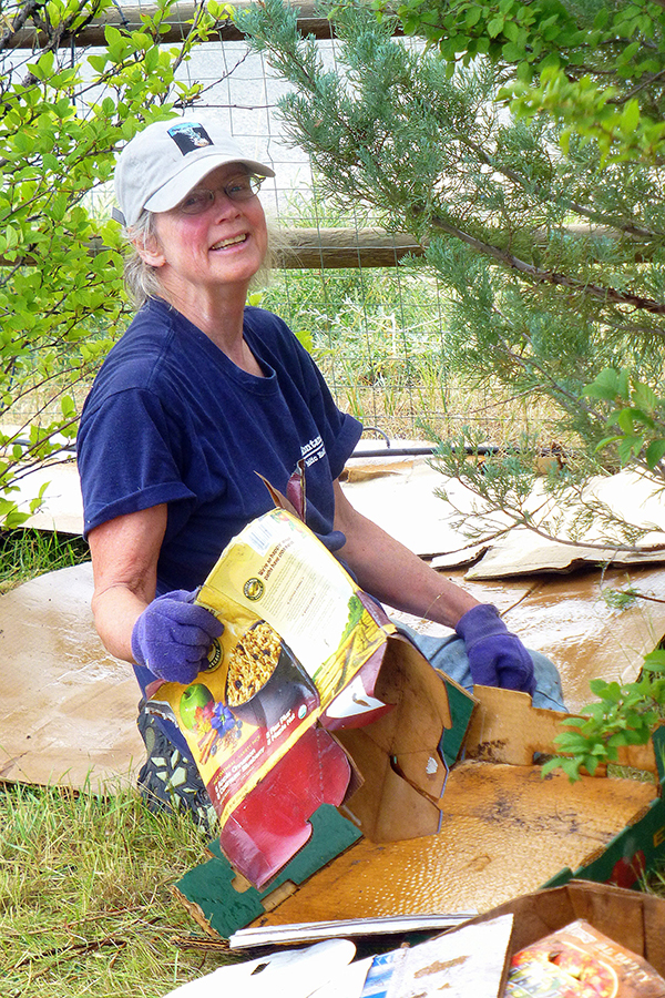 Permaculture-sheet mulching 2 600×900
