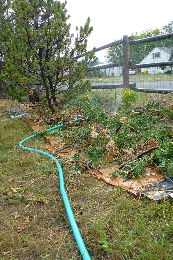 Permaculture-sheet mulching 3 600×900