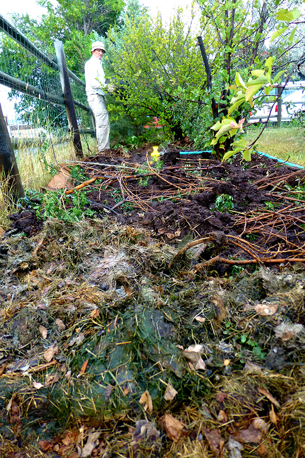 Permaculture-sheet mulching 4 600×900