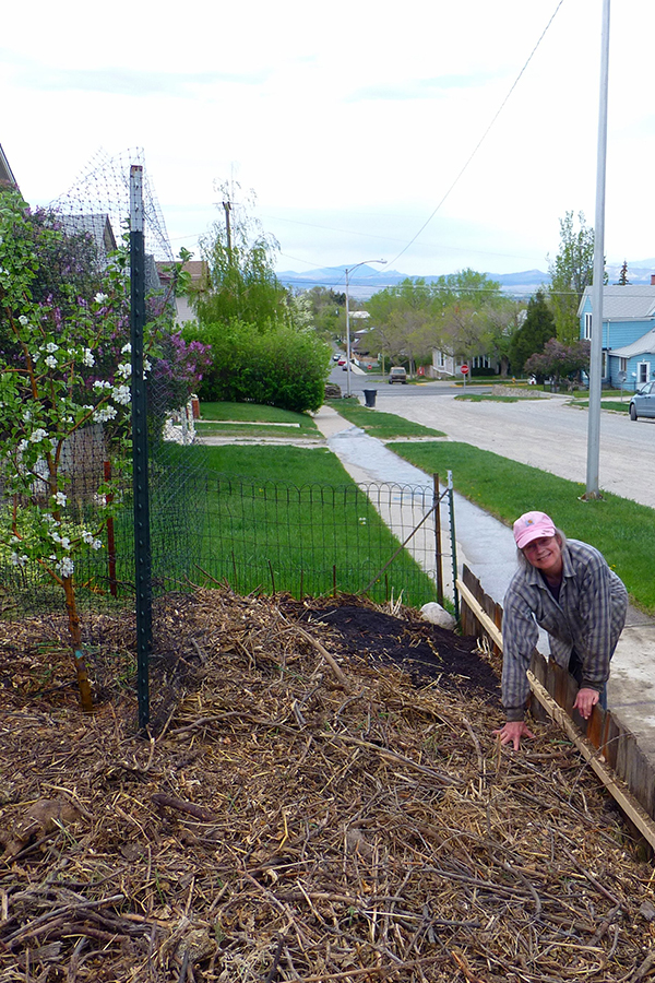Permaculture-sheet mulching 6 600×900